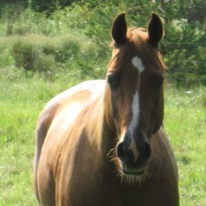 Meet your Posher, Michelle